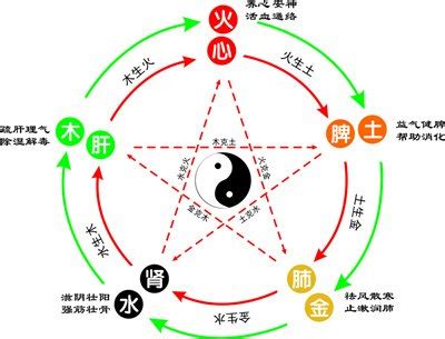 燕五行|燕字五行是什么